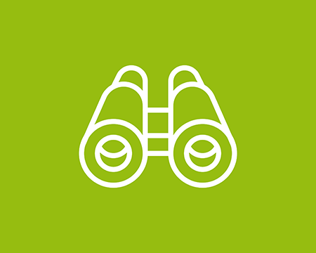 Explorar